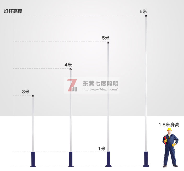 东莞向日葵视频下载黄照明3-6米大小向日葵色板官网高度参考图片